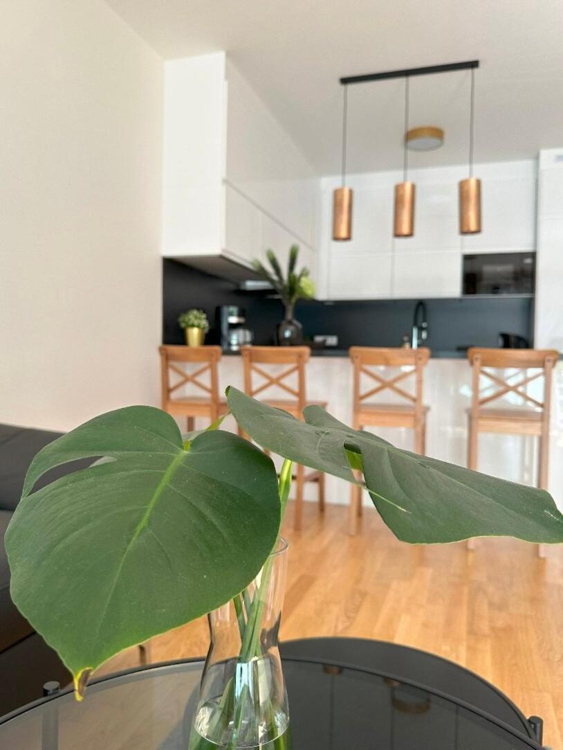 With Garage & Terrace Appartamento